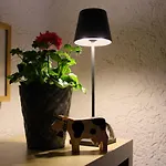 Vogler Apartamento