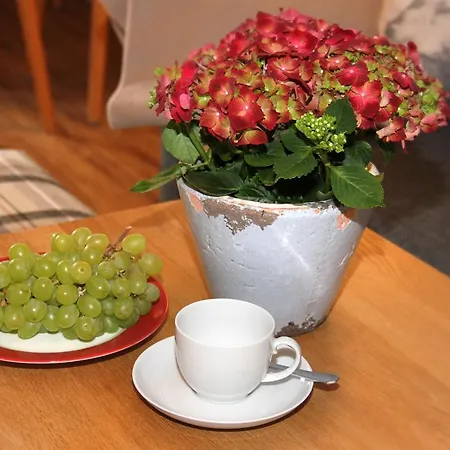 Апартаменты Haus Vogler Оберстдорф